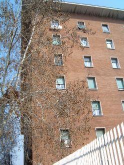 רומא Vesta Residence מראה חיצוני תמונה
